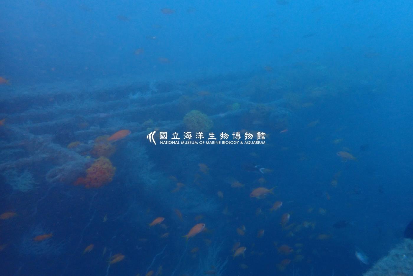 萬安艦-東北角