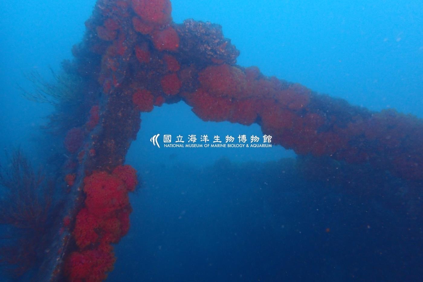 萬安艦-東北角