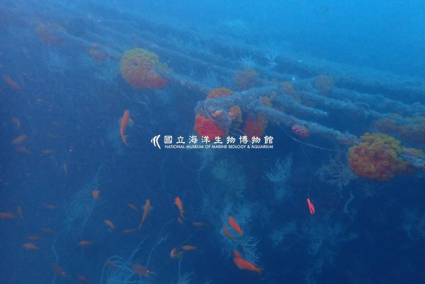 萬安艦-東北角