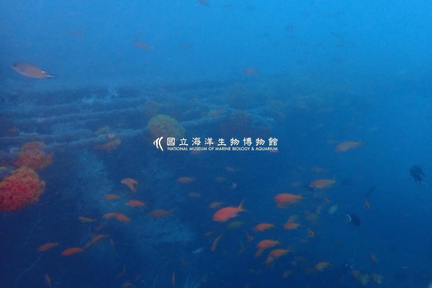萬安艦-東北角
