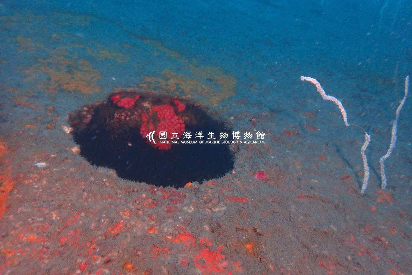 萬安艦-東北角