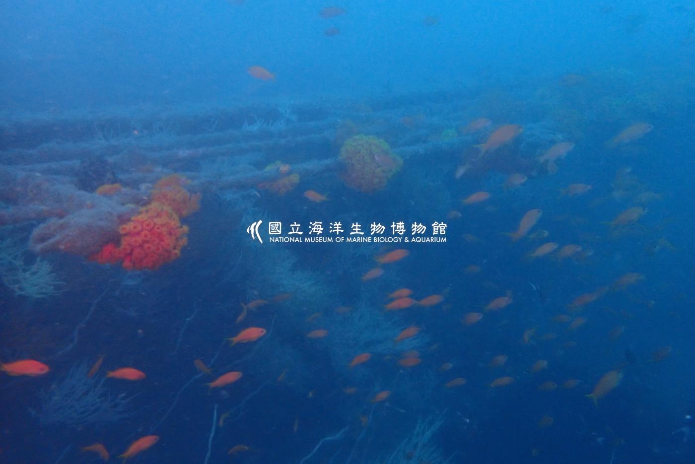 萬安艦-東北角