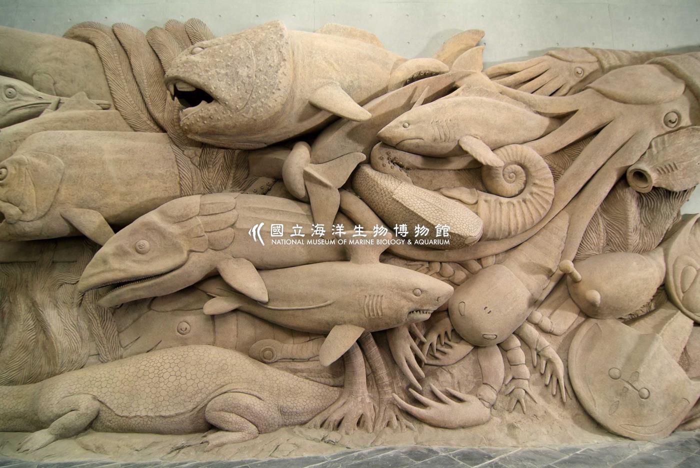 海生館多媒體影音ICMP-中文網-圖像