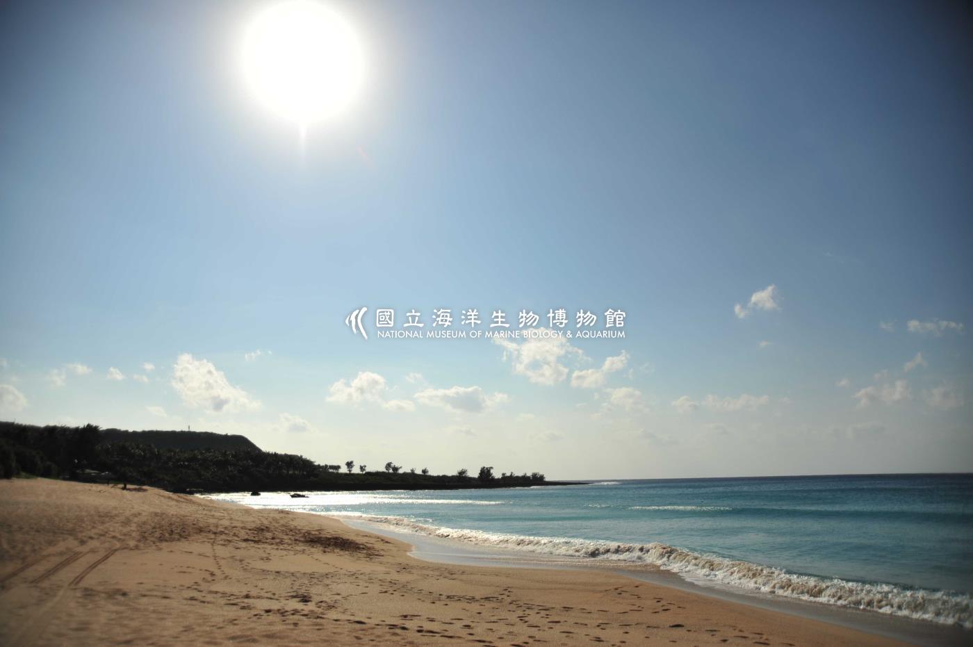 照片