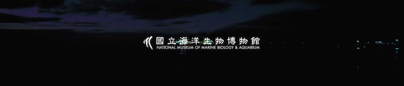 海生館--夜景拍攝(3x8)