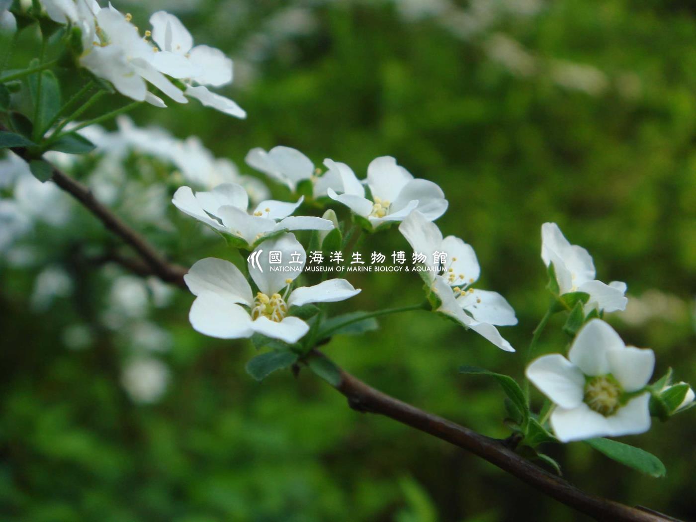 未命名