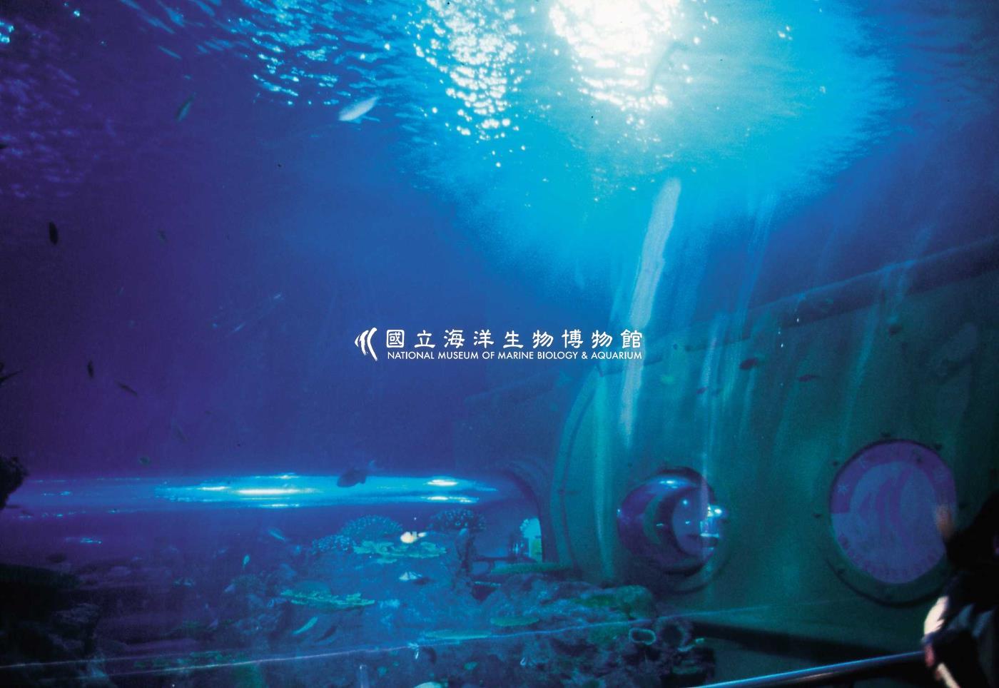 照片