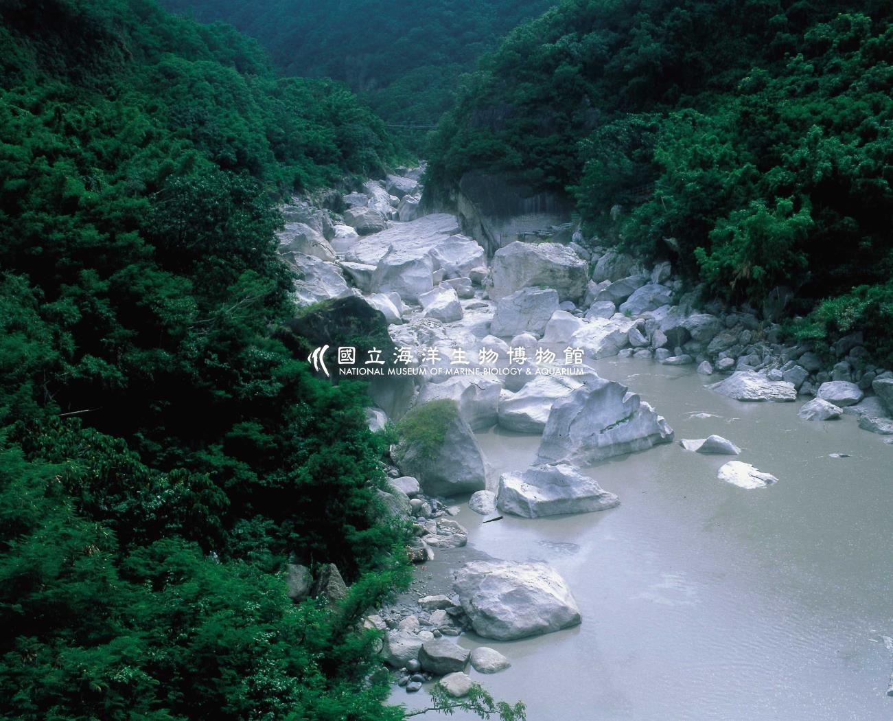 東河溪河口