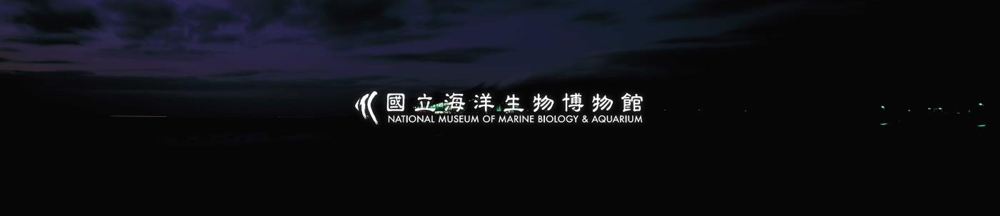 海生館--夜景拍攝(3x8)