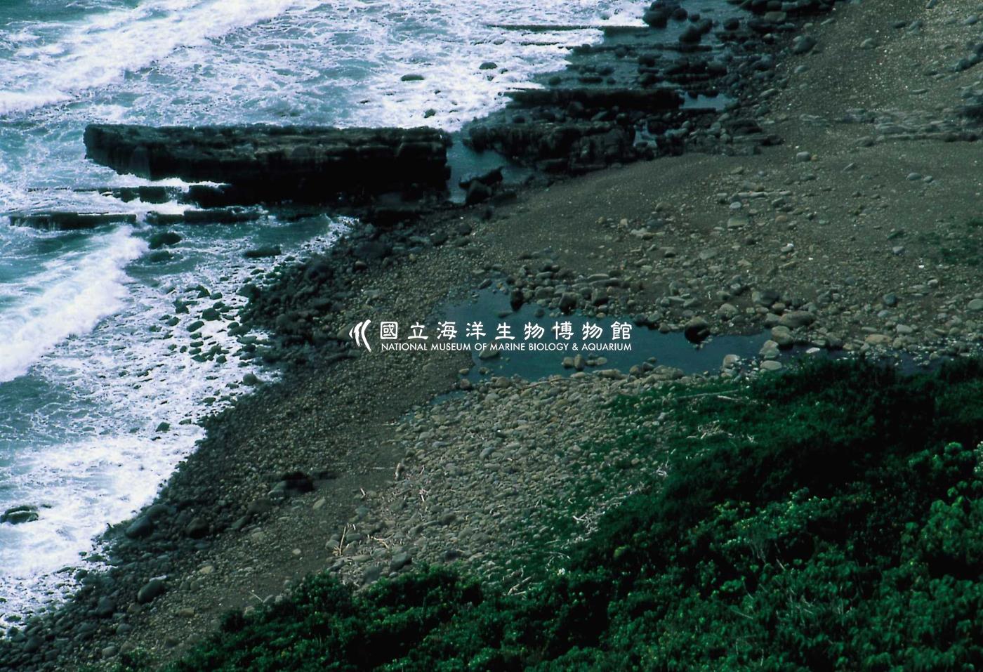 溪仔口出海口