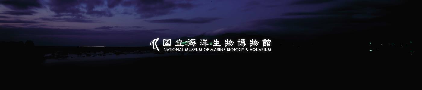海生館--夜景拍攝(3x8)