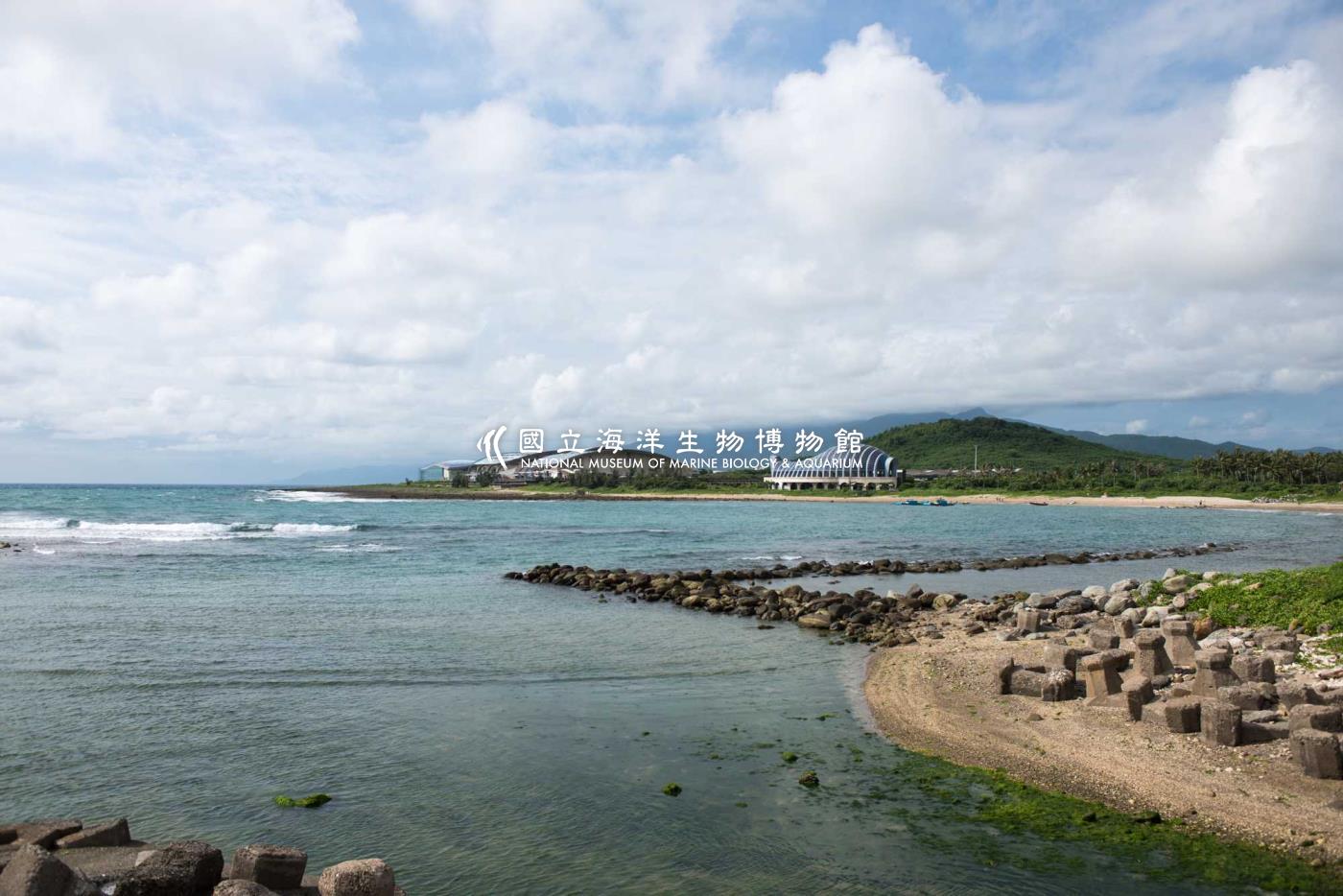 海生館