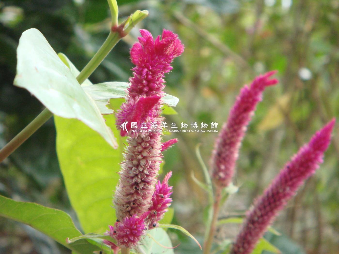 未命名