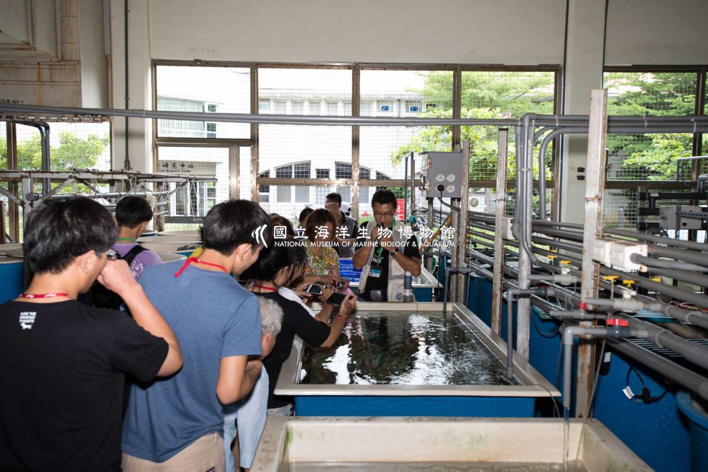 水族中心導覽解說