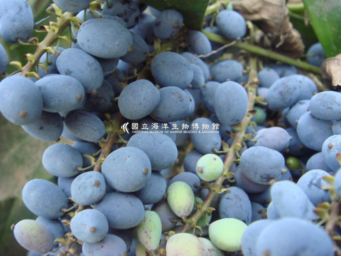 未命名