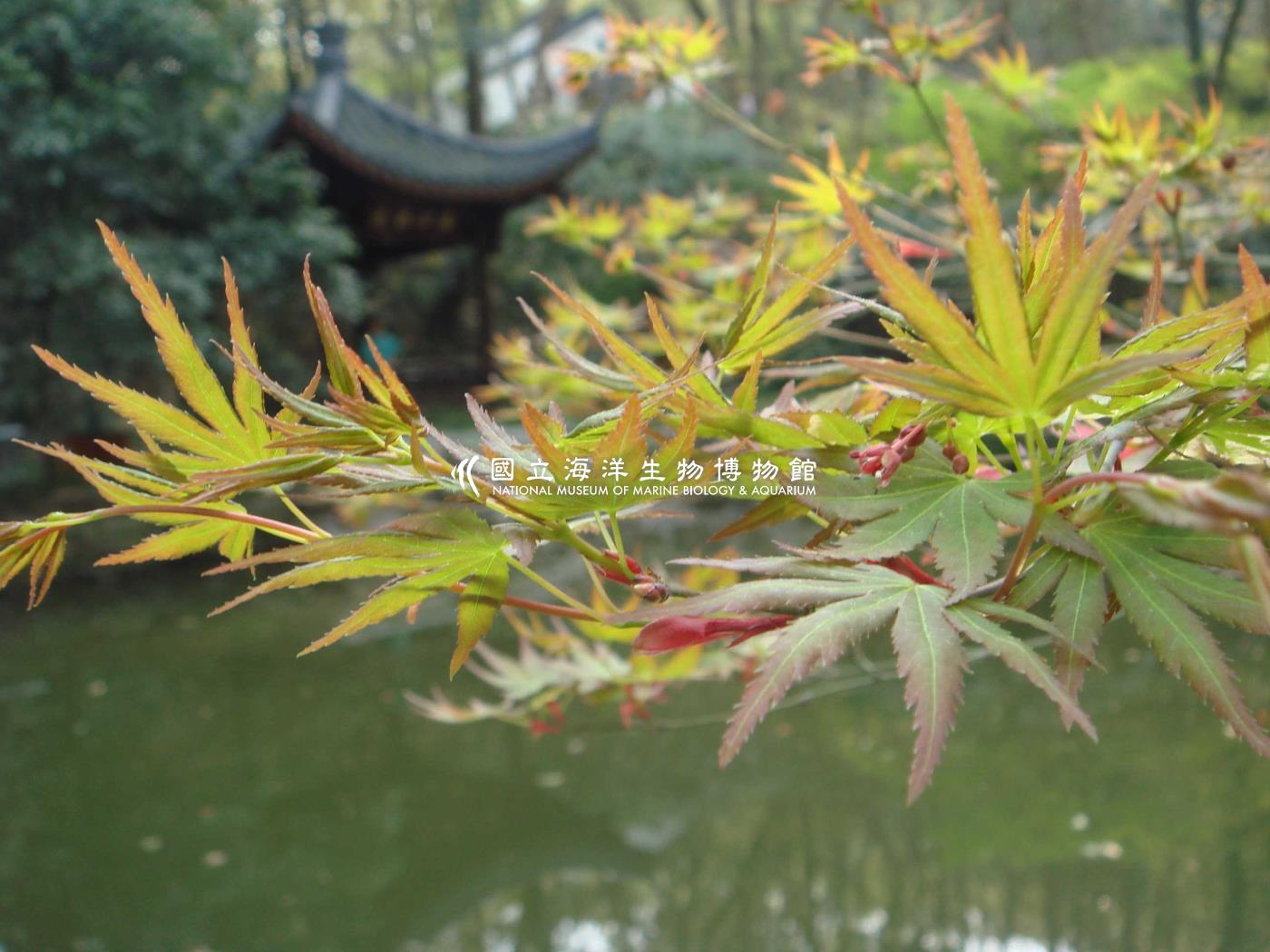 未命名