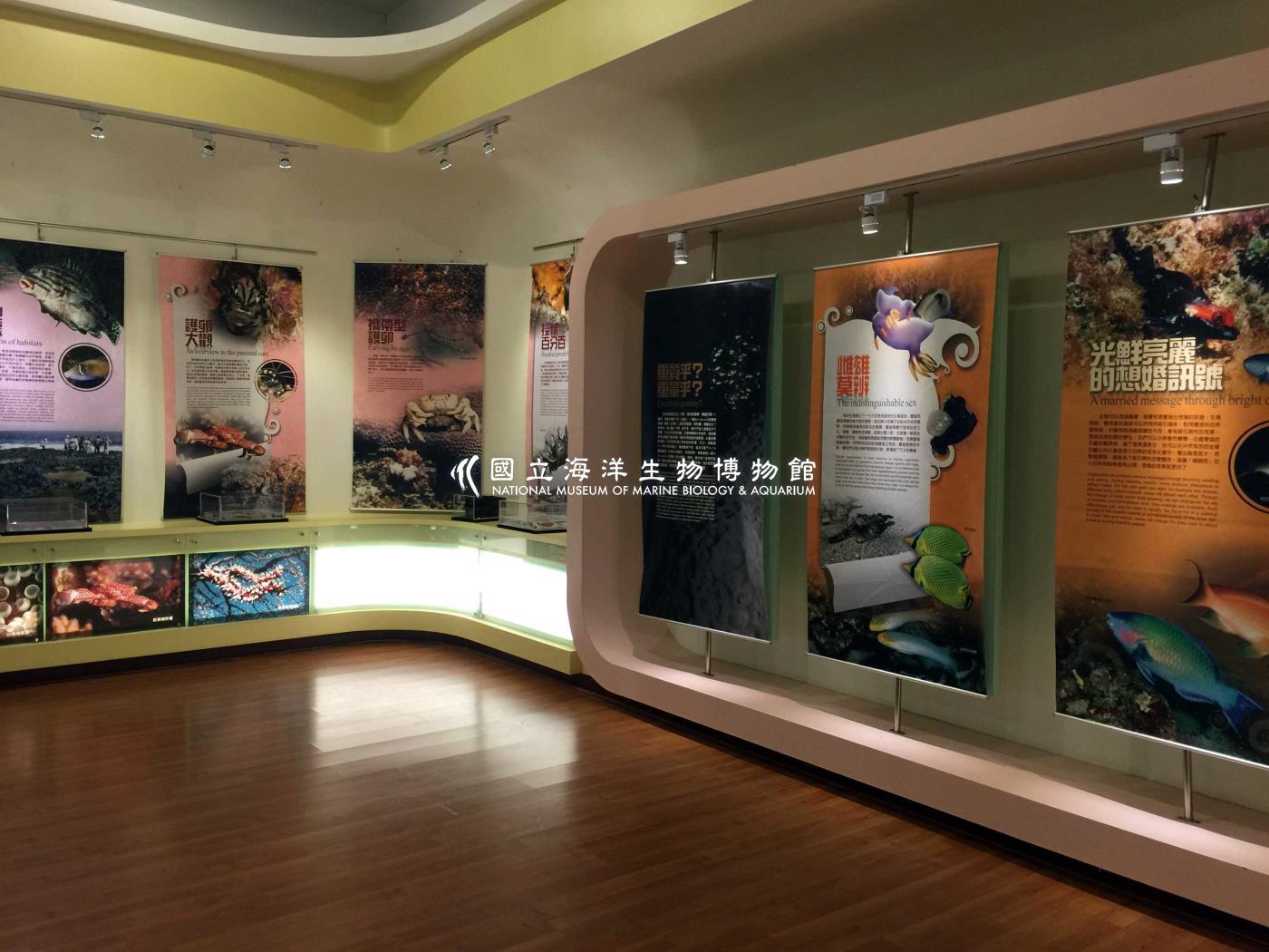 愛與共生奧秘特展