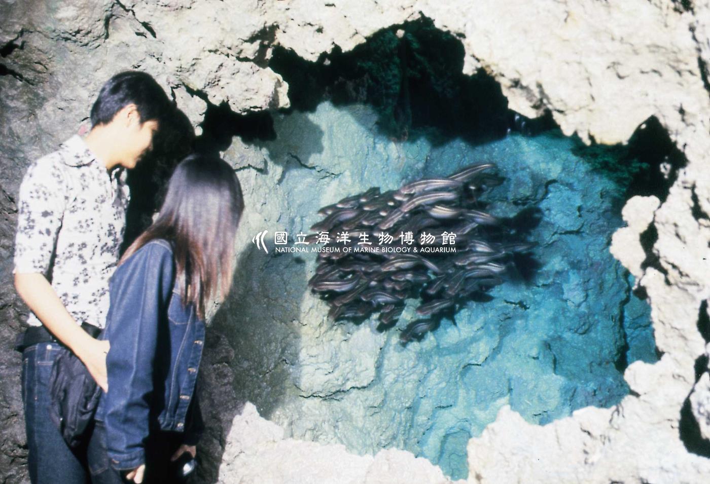 洞穴生物