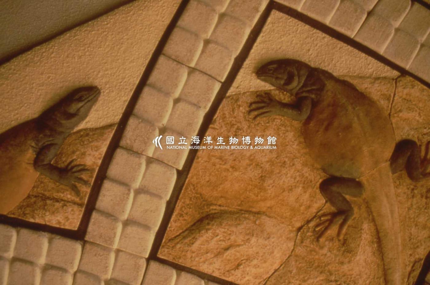 珊瑚王國壁飾造景