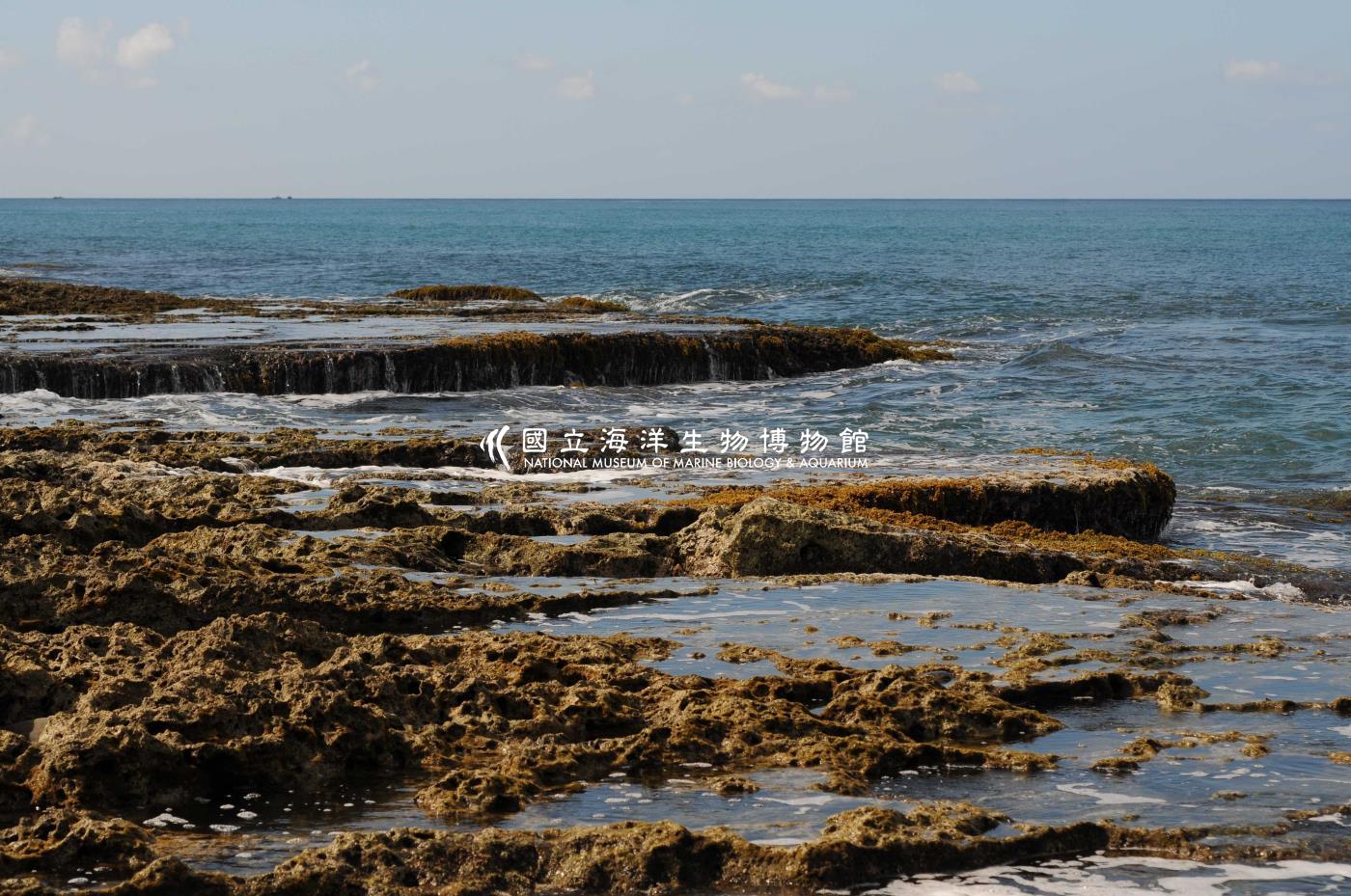 海蝕平台