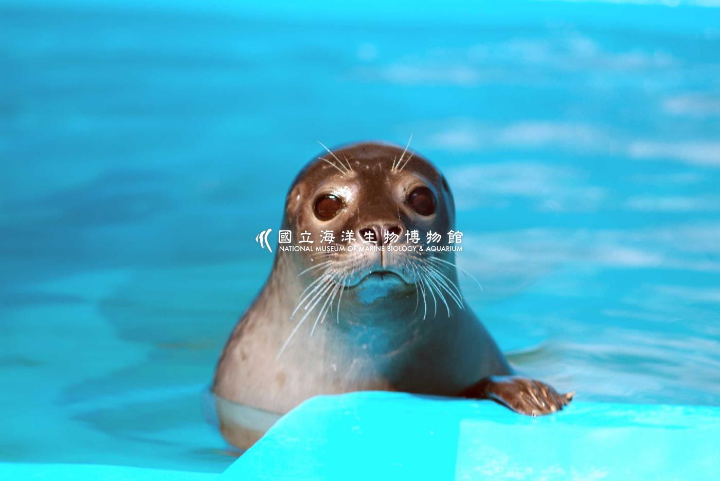 三館動物42