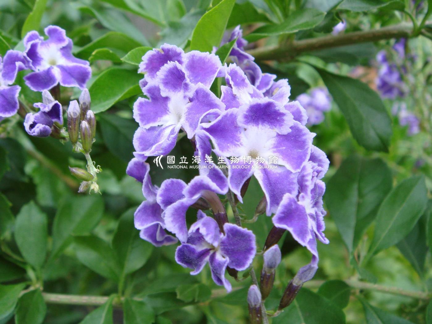 未命名