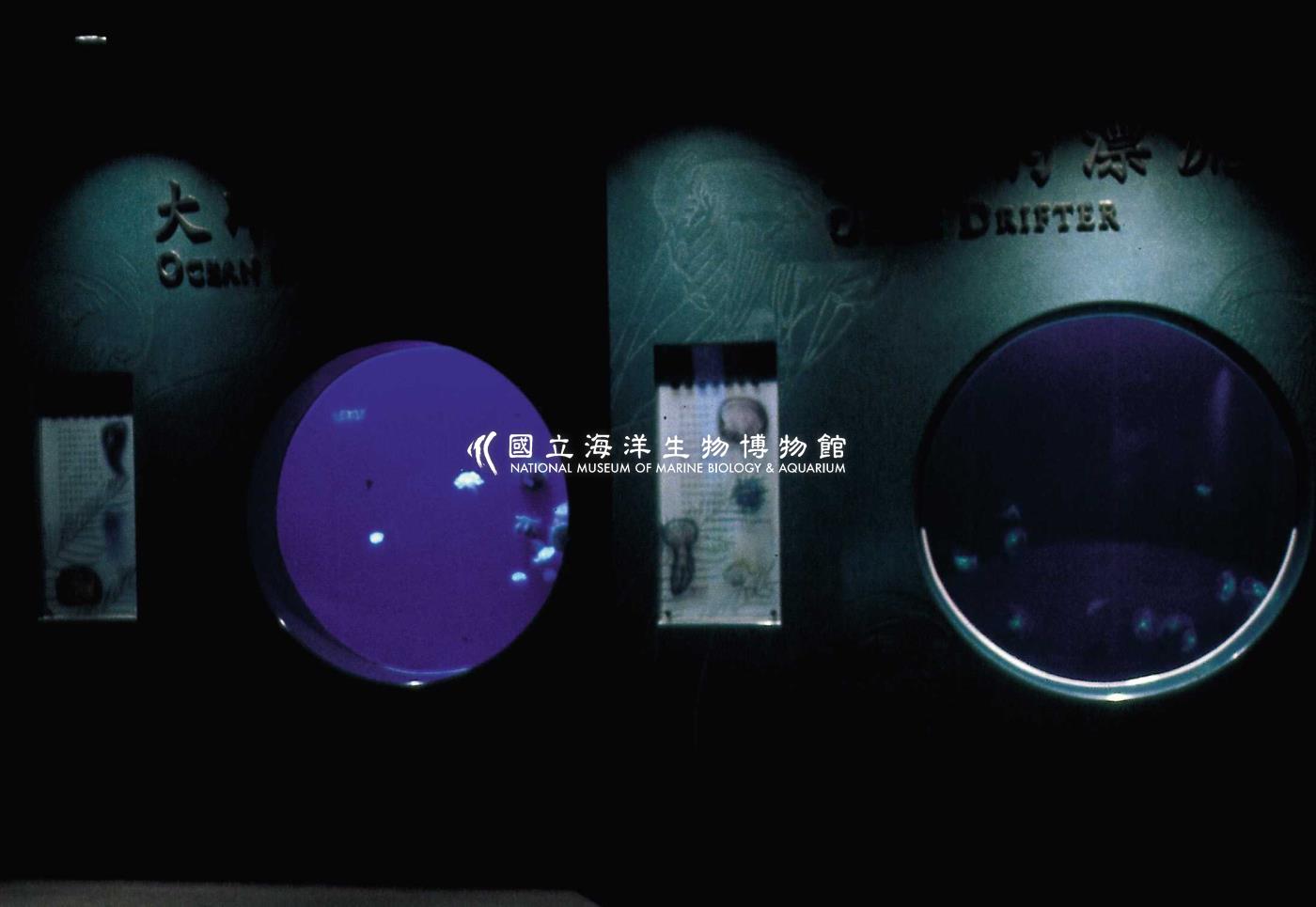 飄流者