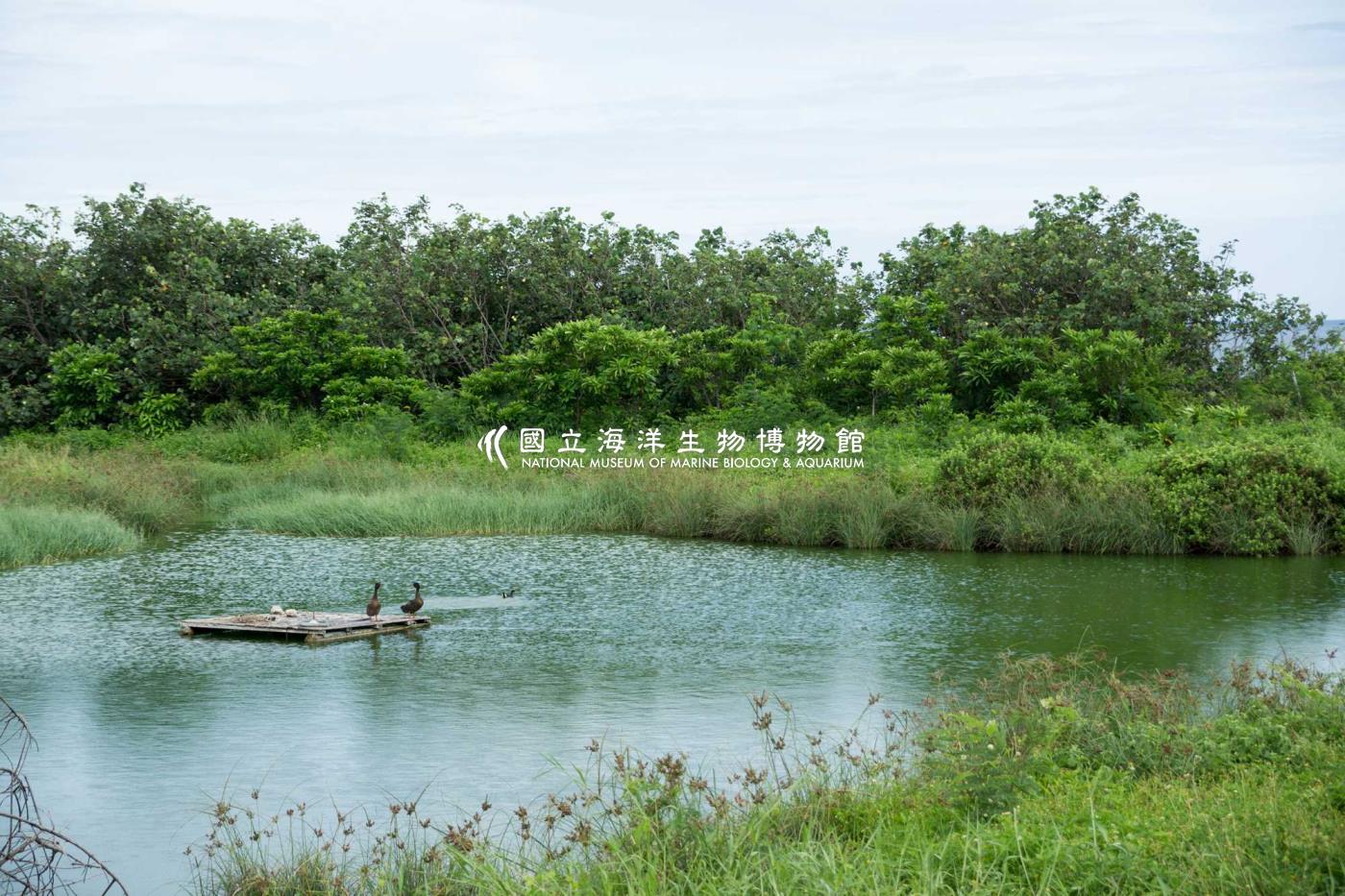 海生濕地