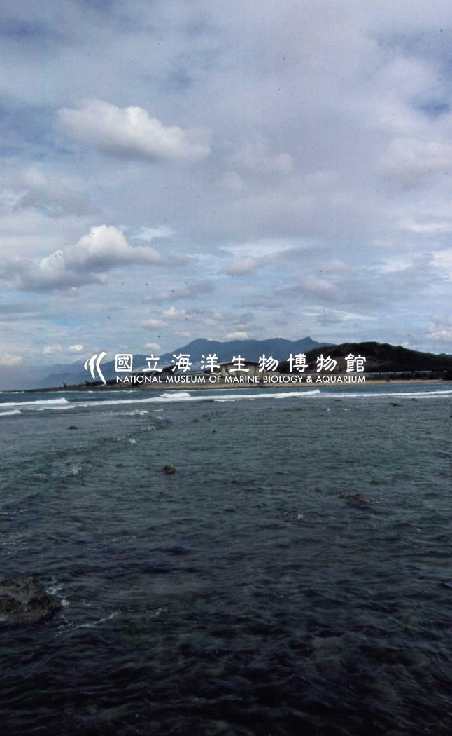 海生館海景拍攝
