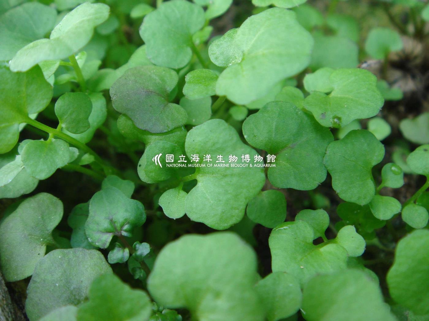 未命名