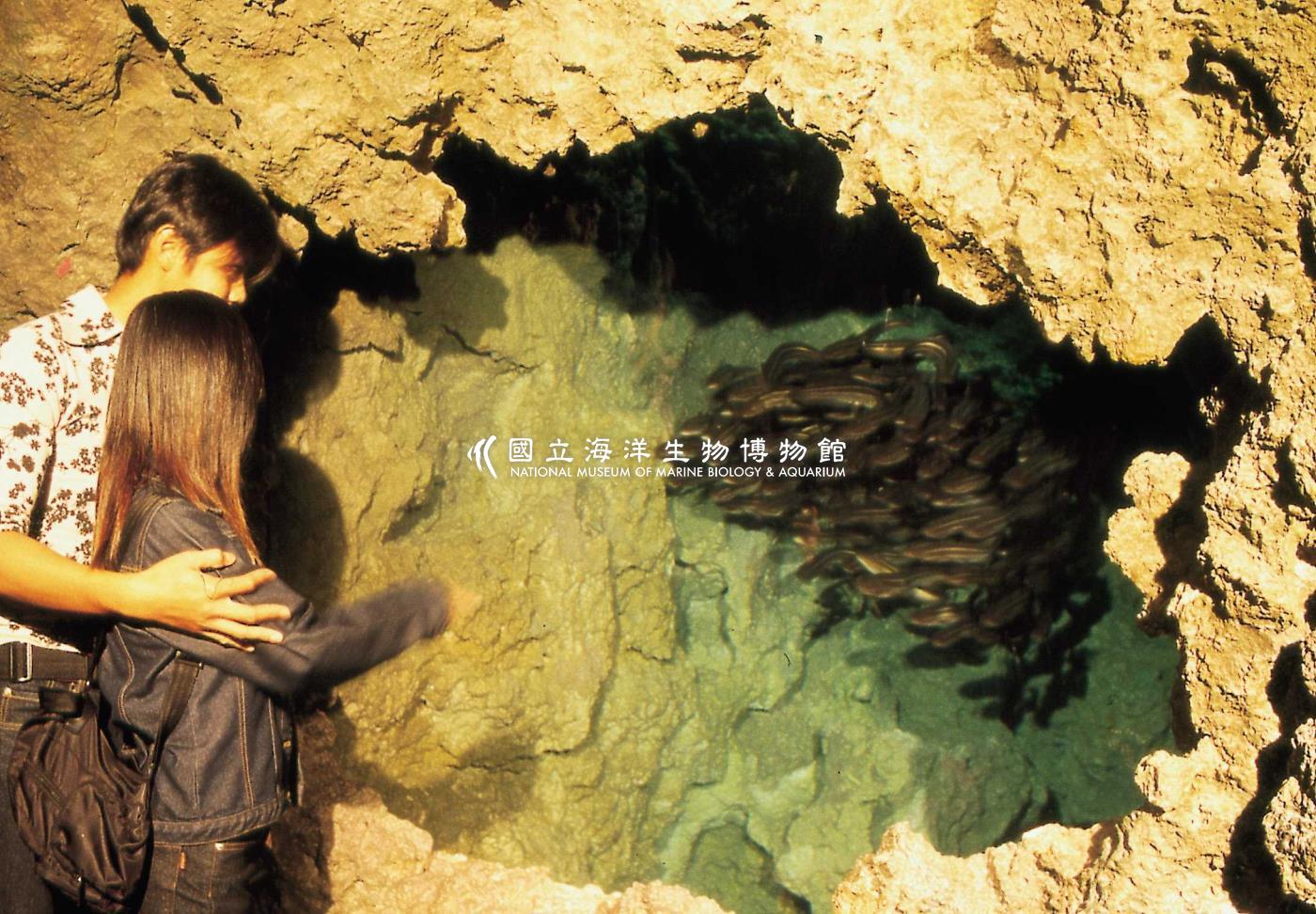 洞穴生物