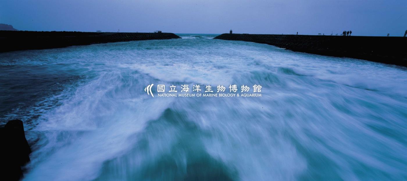 照片