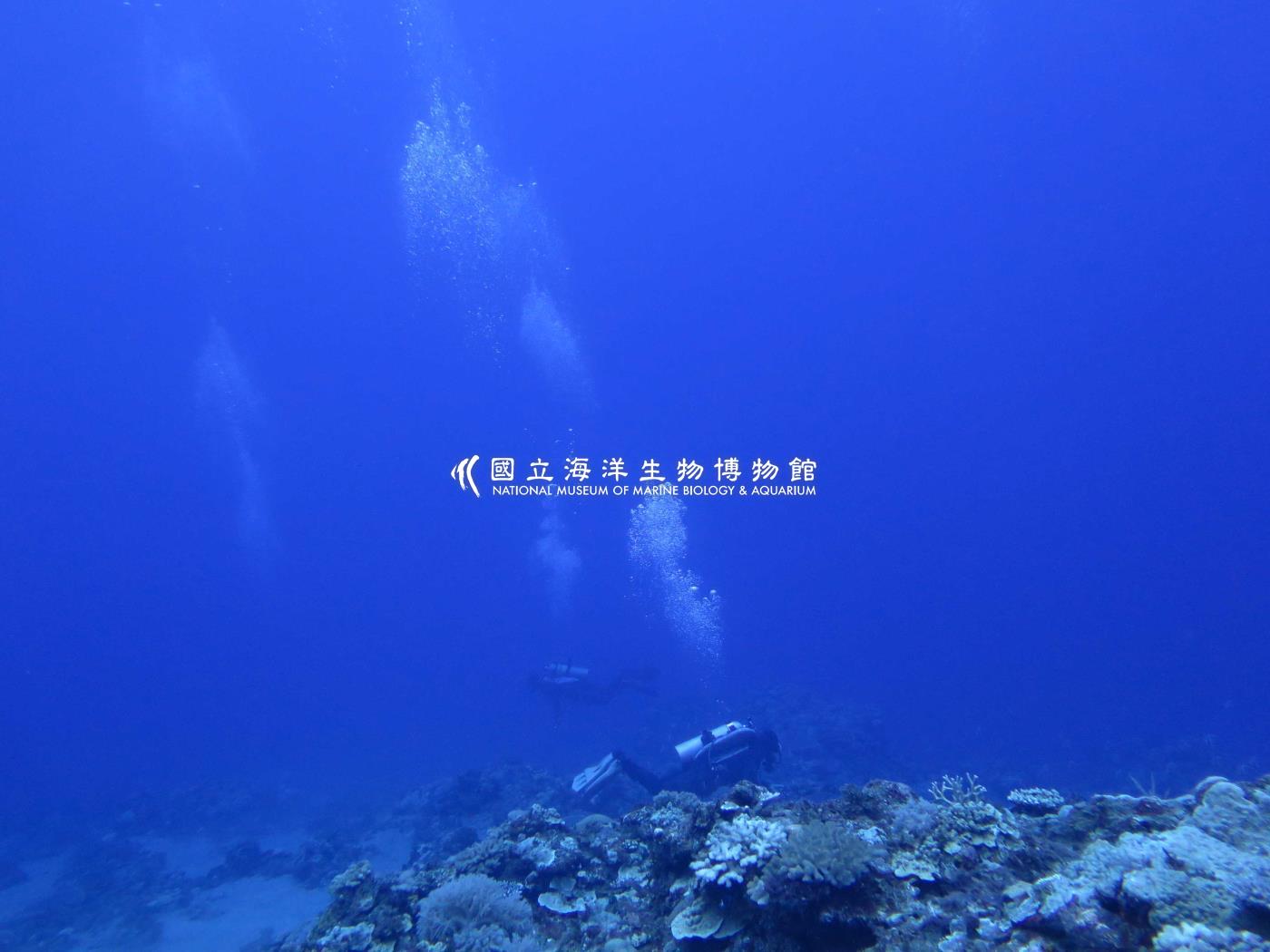 蘭嶼機場北側