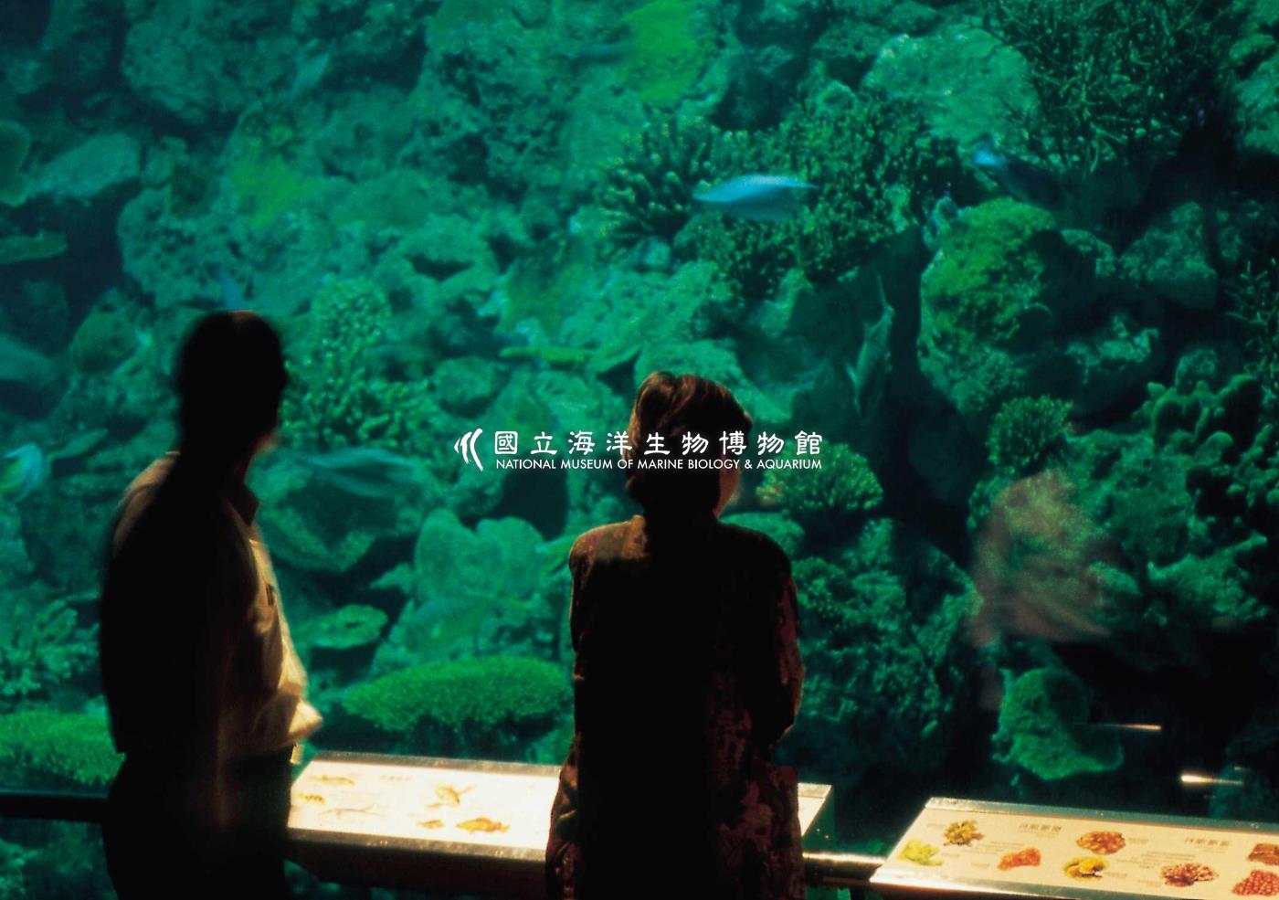 海生館多媒體影音ICMP-中文網-圖像