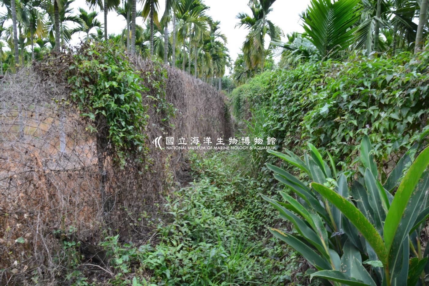 五溝水-2號水門