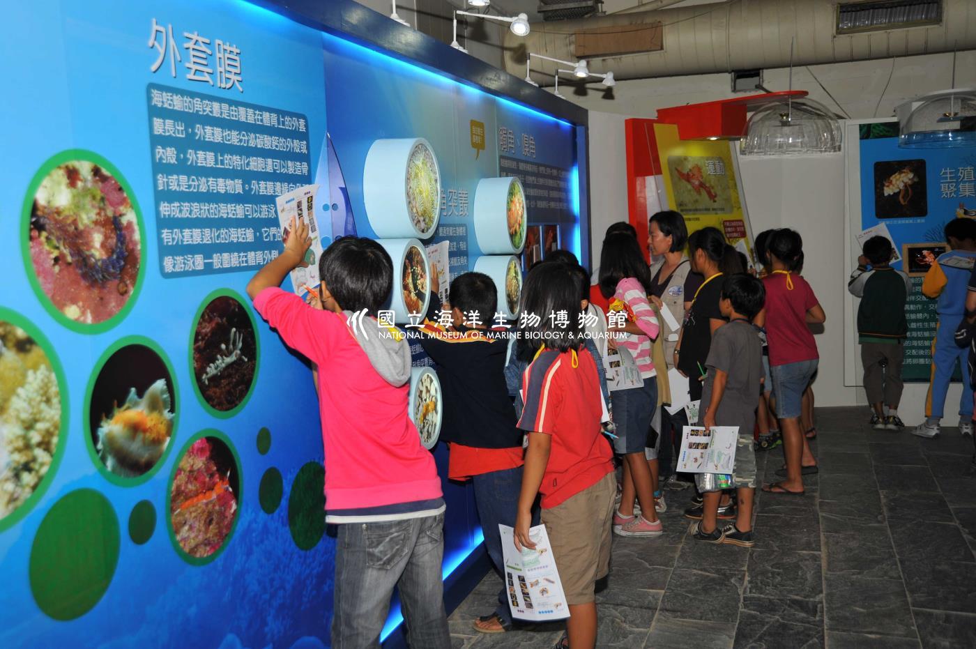 特展解說導覽（結構）