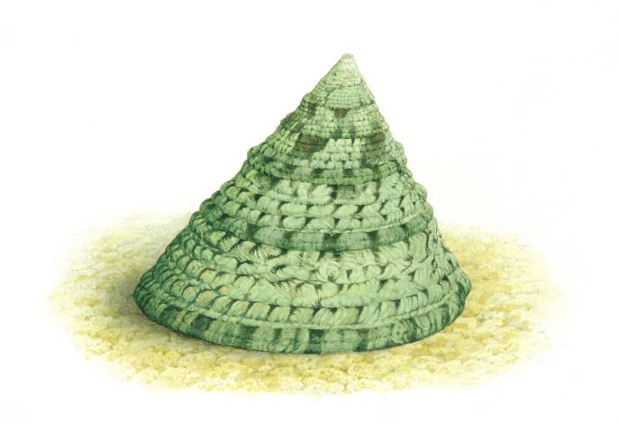 多媒體檢索