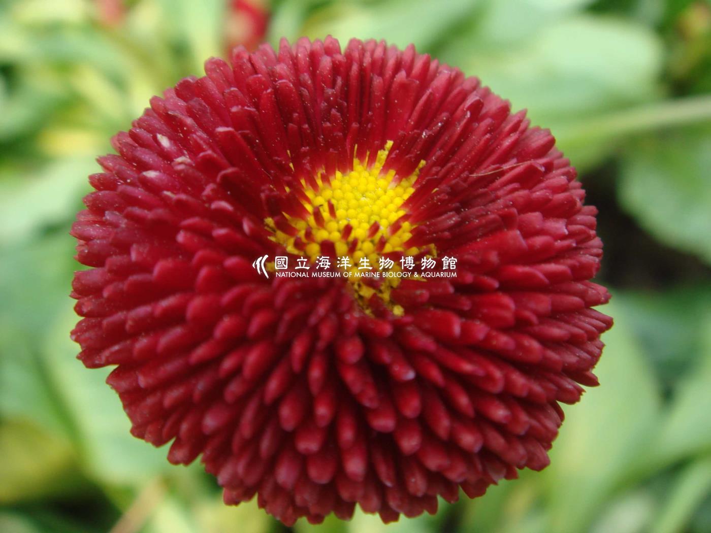 未命名