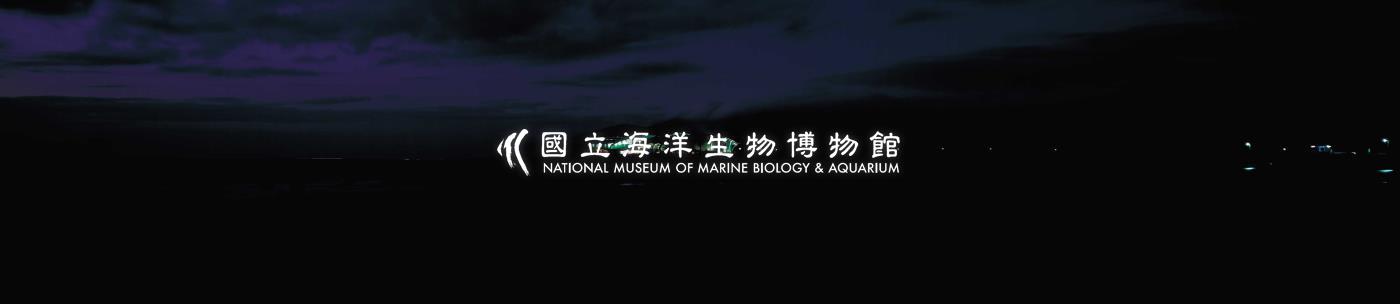 海生館--夜景拍攝(3x8)