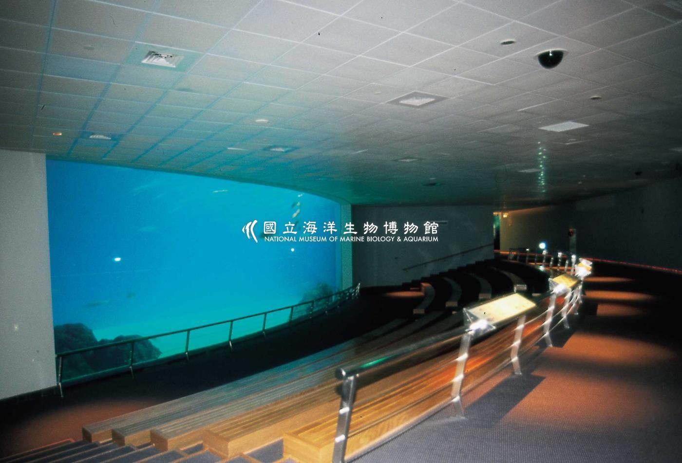 大洋池