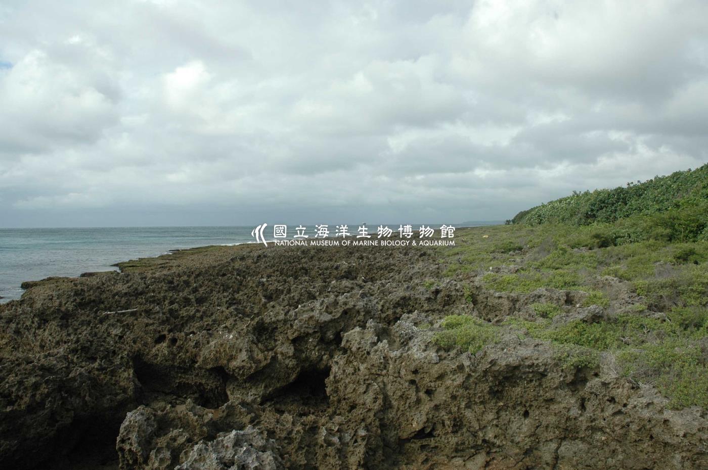 照片