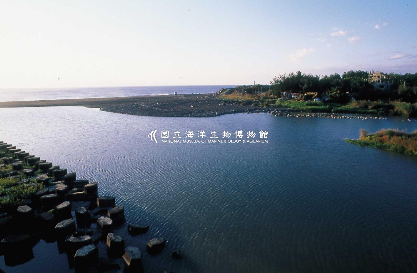 大武溪河口