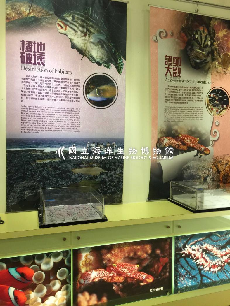 愛與共生奧秘特展