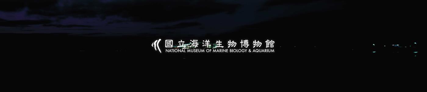 海生館--夜景拍攝(3x8)